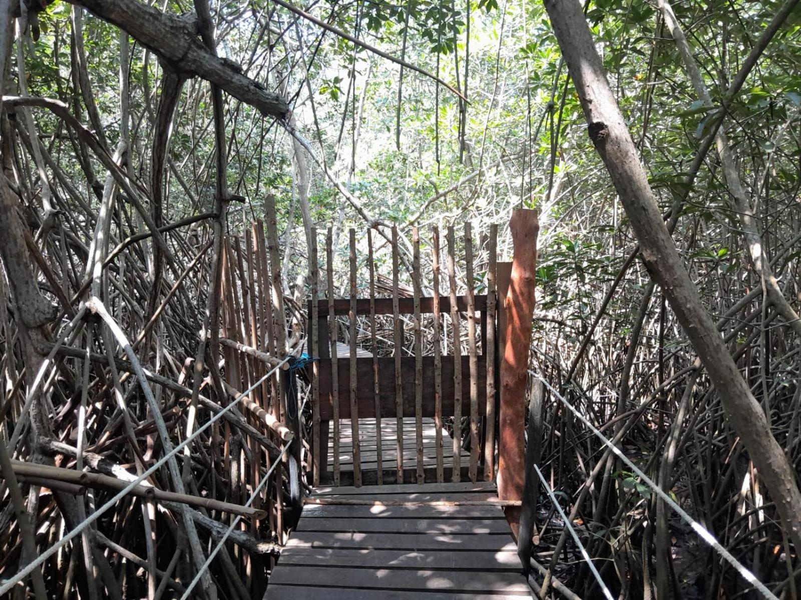 El Puente Hotel El Paredón Buena Vista Екстериор снимка